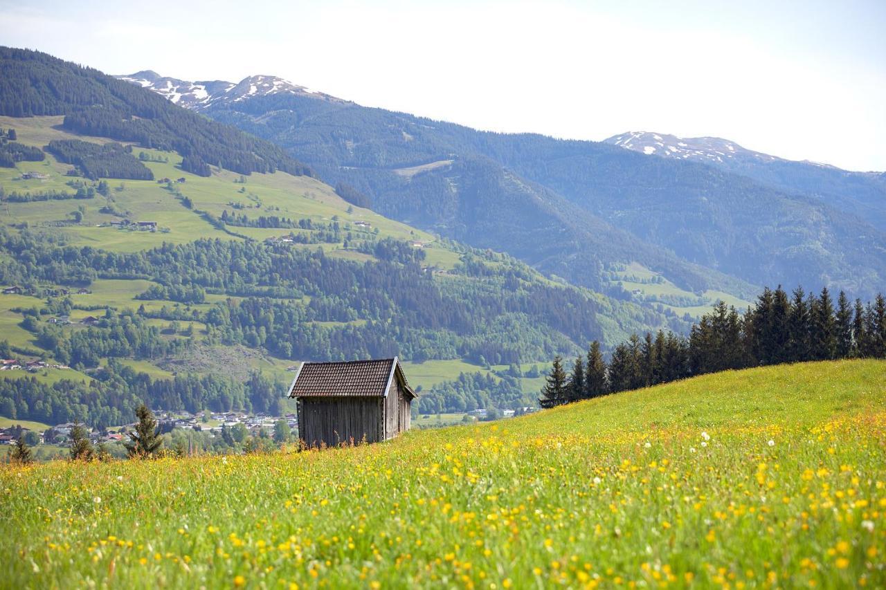 Vordergugg Villa Mittersill Exteriör bild